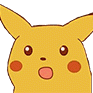 :pika: ????