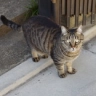 丼之頭????五郎(JK)