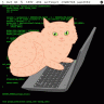 Cats Who Code 2